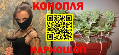 mdpv Ачхой-Мартан