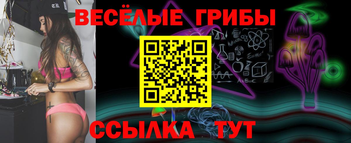 Новочебоксарск  Псилоцибиновые грибы GOLDEN TEACHER  Вход с VPN 